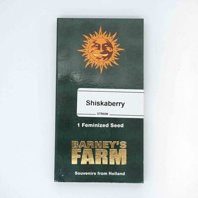 Shiskaberry > Barney\'s Farm | Semillas feminizadas  |  Índica
